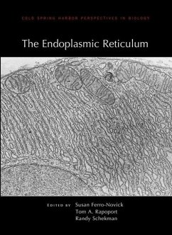 The Endoplasmic Reticulum - Ferro-Novick, Susan