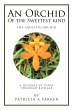 An Orchid of the Sweetest Kind - Bild 1