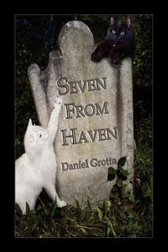 Seven from Haven - Grotta, Daniel