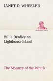 Billie Bradley on Lighthouse Island The Mystery of the Wreck