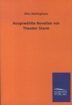 Ausgewählte Novellen von Theodor Storm - Hellinghaus, Otto