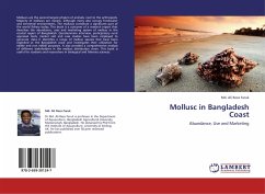 Mollusc in Bangladesh Coast