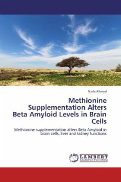 Methionine Supplementation Alters Beta Amyloid Levels in Brain Cells