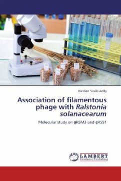 Association of filamentous phage with 'Ralstonia solanacearum'