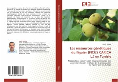 Les ressources génétiques du figuier (FICUS CARICA L.) en Tunisie - Aljane, Fateh