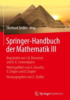 Springer-Handbuch der Mathematik III