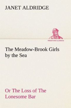 The Meadow-Brook Girls by the Sea Or The Loss of The Lonesome Bar - Aldridge, Janet