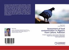 Assessment of lead contamination in Pigeons from Lahore, Pakistan