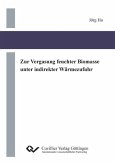 Zur Vergasung feuchter Biomasse unter indirekter Wärmezufuhr