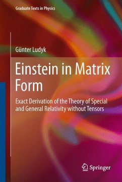 Einstein in Matrix Form - Ludyk, Günter