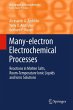 Many-electron Electrochemical Processes - Bild 1
