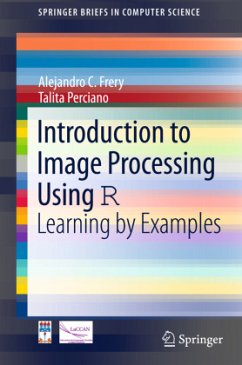 Introduction to Image Processing Using R - Frery, Alejandro C.;Perciano, Talita