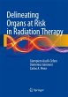 Delineating Organs at Risk in Radiation... - Bild 1