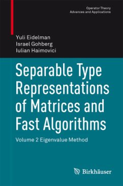 Separable Type Representations of Matrices and Fast Algorithms - Eidelman, Yuli;Gohberg, Israel;Haimovici, Iulian