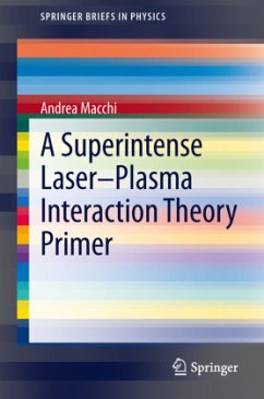 A Superintense Laser-Plasma Interaction Theory Primer - Macchi, Andrea