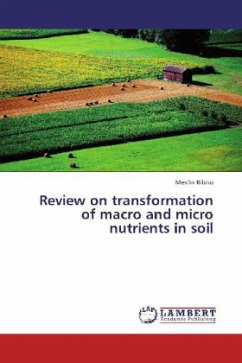 Review on transformation of macro and micro nutrients in soil