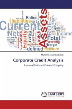 Corporate Credit Analysis