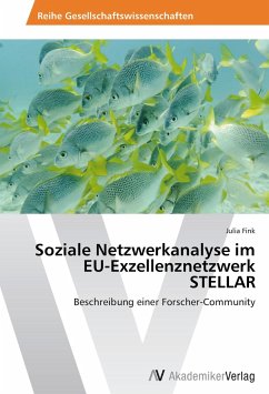 Soziale Netzwerkanalyse im EU-Exzellenznetzwerk STELLAR - Fink, Julia