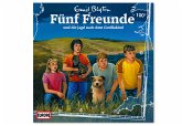 Fünf Freunde und das Gorillakind in Gefahr / Fünf Freunde Bd.100 (1 Audio-CD)