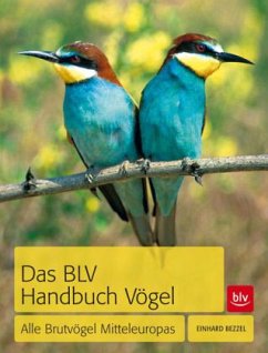 Das BLV Handbuch Vögel - Bezzel, Einhard