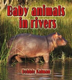 Baby Animals in Rivers - Kalman, Bobbie