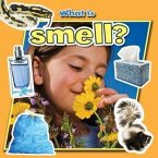 What Is Smell?