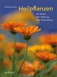 Heilpflanzen - Bild 1