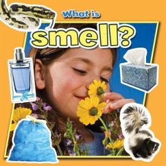 What Is Smell? - Aloian, Molly