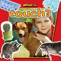 What Is Touch? - Aloian, Molly