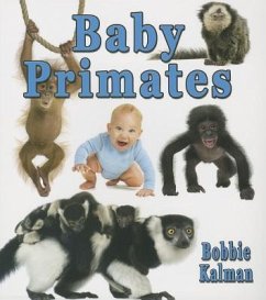 Baby Primates - Kalman, Bobbie