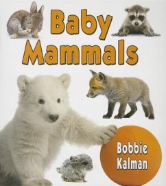 Baby Mammals - Kalman, Bobbie