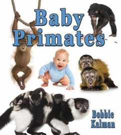Baby Primates - Kalman, Bobbie