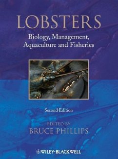 Lobsters - Phillips, Bruce