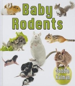 Baby Rodents - Kalman, Bobbie