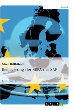 Realisierung der SEPA mit SAP - Hellfritzsch, Sören