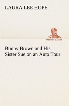 Bunny Brown and His Sister Sue on an Auto Tour - Hope, Laura Lee