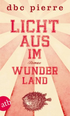 Licht aus im Wunderland - Pierre, D. B. C.