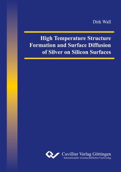 High Temperature Structure Formation and Surface Diffusion of Silver on Silicon Surfaces - Wall, Dirk