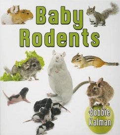 Baby Rodents - Kalman, Bobbie