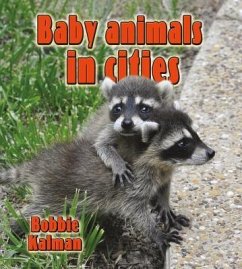 Baby Animals in Cities - Kalman, Bobbie