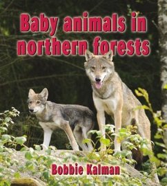 Baby Animals in Northern Forests - Kalman, Bobbie