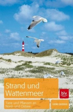 Strand und Wattenmeer - Quedens, Georg