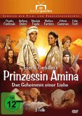 Prinzessin Amina: Das Geheimnis einer Liebe