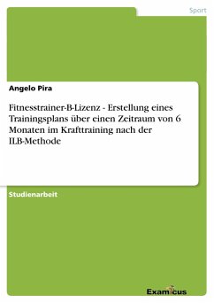 Fitnesstrainer-B-Lizenz - Erstellung eines Trainingsplans über einen Zeitraum von 6 Monaten im Krafttraining nach der ILB-Methode - Pira, Angelo