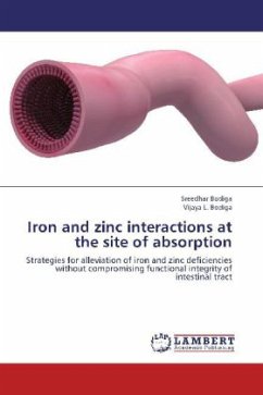 Iron and zinc interactions at the site of absorption - Bodiga, Sreedhar;Bodiga, Vijaya L.