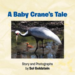 A Baby Crane's Tale - Goldstein, Sol