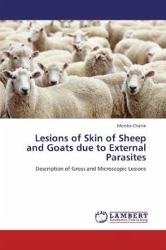 Lesions of Skin of Sheep and Goats due to External Parasites - Chanie, Mersha