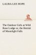 The Outdoor Girls at Wild Rose Lodge... - Bild 1