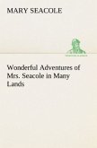 Wonderful Adventures of Mrs. Seacole in Many Lands