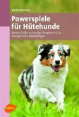 Powerspiele für Hütehunde